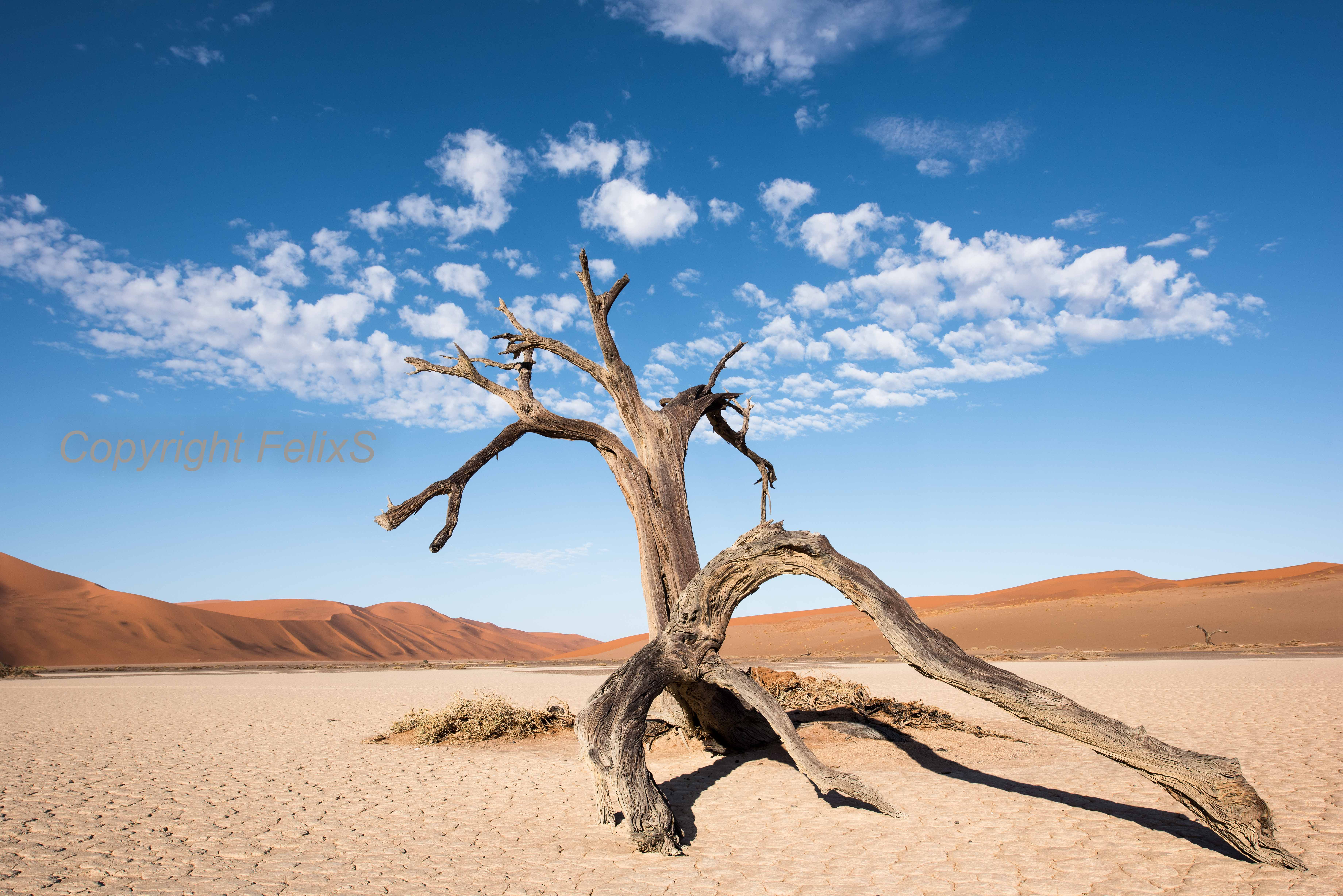 Hiddenvlei